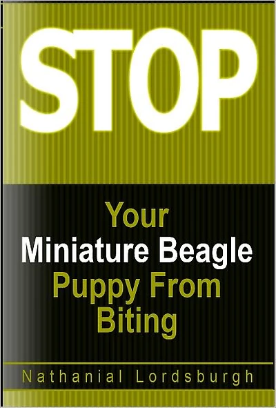 Keep Your Miniature Beagle From Biting