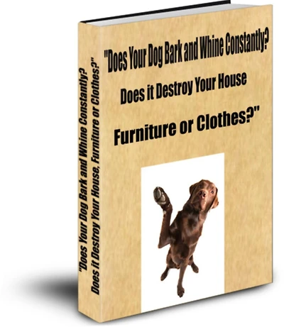 "Does Your Dog Bark and Whine Constantly? Does it Destroy Your House, Furniture or Clothes?"