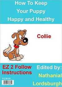 How To Keep Your Collie Happy and Healthy