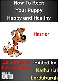 How To Keep Your Harrier Happy and Healthy