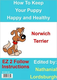 How To Keep Your Norwich Terrier Happy and Healthy