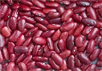 The Truth About Dealing With Kidney Stones : The Tips and Tricks