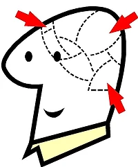 The Full Potentials Of Your Mind