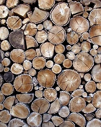 Woodturning Course : Invaluable Information about Wood Turning