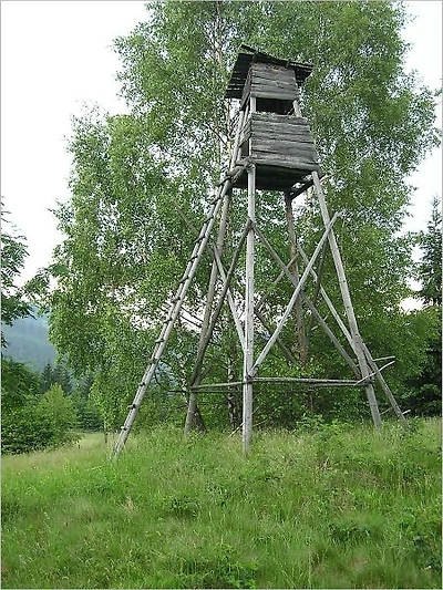 Hunting Guide: How the Pros Do It