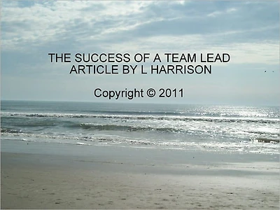 Success As A Team Lead (Article)