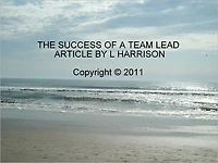 Success As A Team Lead (Article)