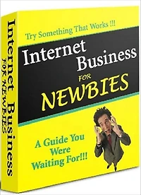 Internet Business For Newbies - How to Start an Internet Business without Capital