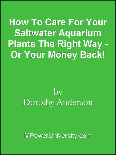 How To Care For Your Saltwater Aquarium Plants The Right Way - Or Your Money Back!
