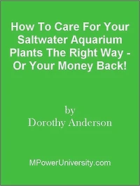 How To Care For Your Saltwater Aquarium Plants The Right Way - Or Your Money Back!