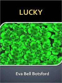 LUCKY w/ Direct link technology (A Western Adventure Story)