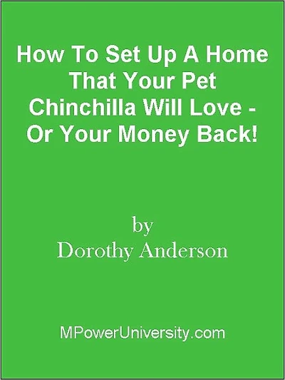 How To Set Up A Home That Your Pet Chinchilla Will Love - Or Your Money Back!