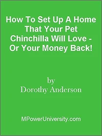 How To Set Up A Home That Your Pet Chinchilla Will Love - Or Your Money Back!