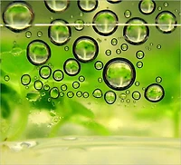 Biofuel As A Power Source: An Overview