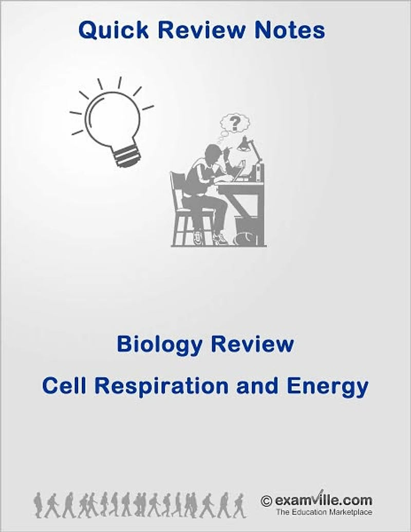 Biology Review: Cell Respiration and Energy