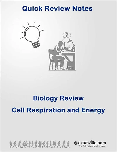 Biology Review: Cell Respiration and Energy