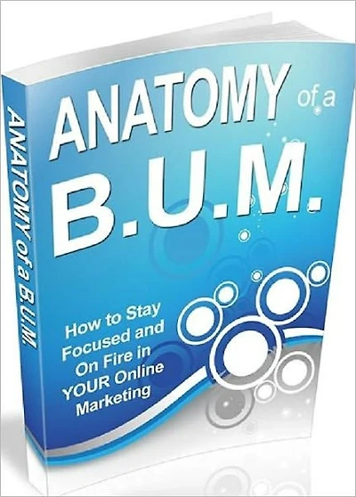 Impressive Results - B.U.M Marketing Made Easier and Faster - Anatomy of a B.U.M.