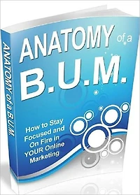 Impressive Results - B.U.M Marketing Made Easier and Faster - Anatomy of a B.U.M.