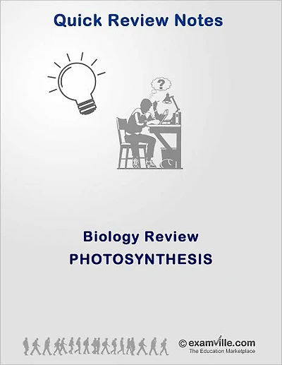 Biology Review: Photosynthesis