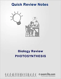 Biology Review: Photosynthesis