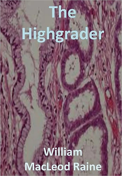 The Highgrader w/ Direct link technology ( A Classic Western Story)