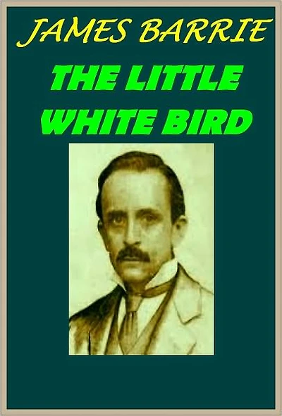 THE LITTLE WHITE BIRD