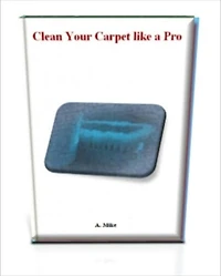 Clean Your Carpet like a Pro