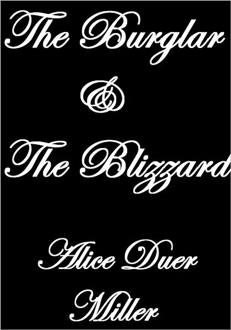 THE BURGLAR AND THE BLIZZARD