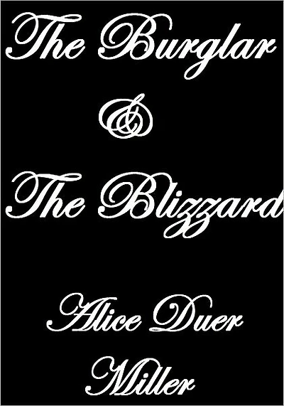 THE BURGLAR AND THE BLIZZARD