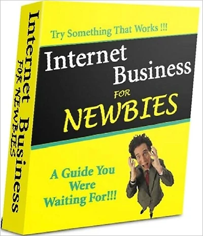 Guide To Internet Business For Newbies - Home-Based Businesses eBook NookBook..
