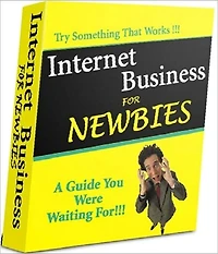 Guide To Internet Business For Newbies - Home-Based Businesses eBook NookBook..