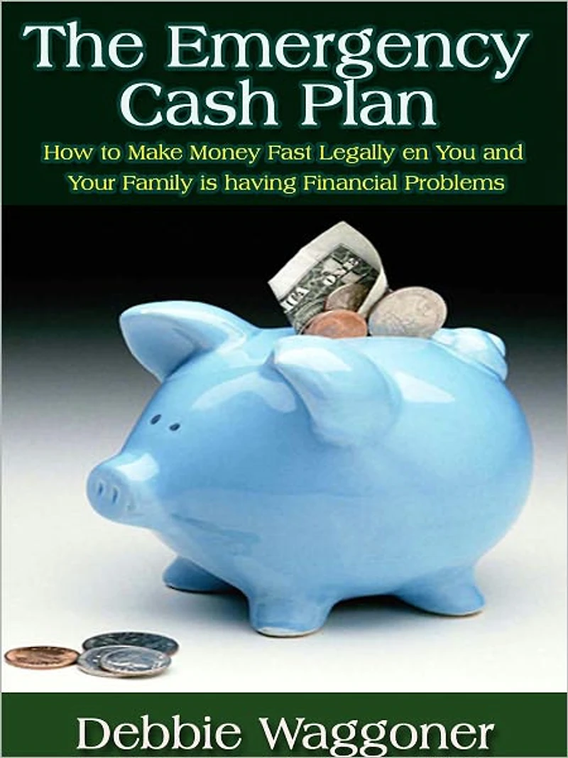 The Emergency Cash Plan - How to Make Money Fast Legally and Ethically When You and Your Family is having Financial Problems