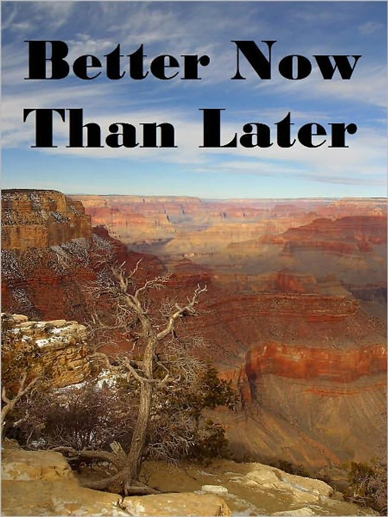 Better Now Than Later