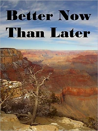 Better Now Than Later