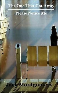 The One That Got Away / Please Notice Me (Short Stories)