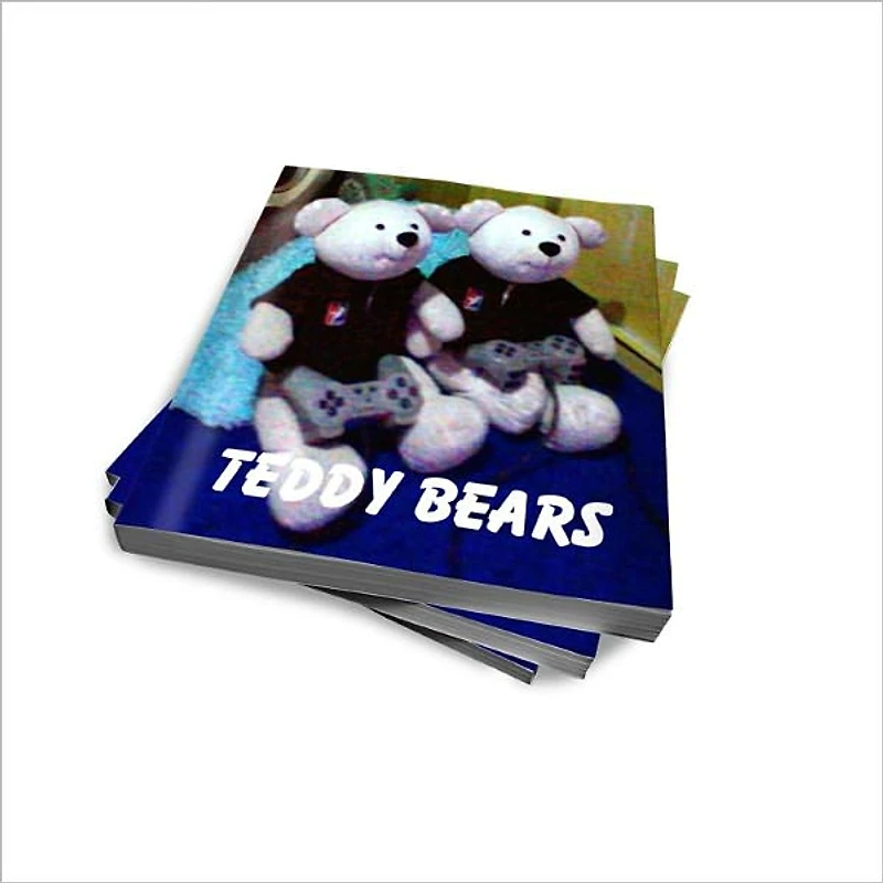 The World of Teddy Bears: Teddy Bear Care and Love