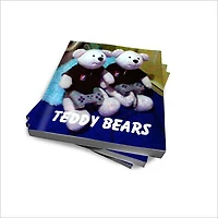 The World of Teddy Bears: Teddy Bear Care and Love