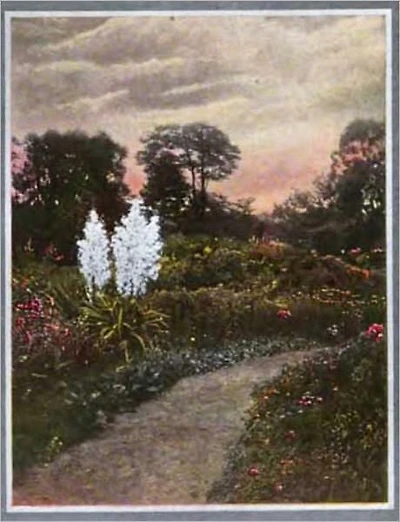 Amateur Gardencraft (Illustrated)