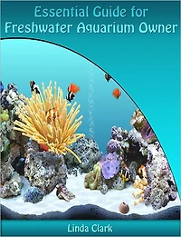 Essential Guide for Freshwater Aquarium Owner
