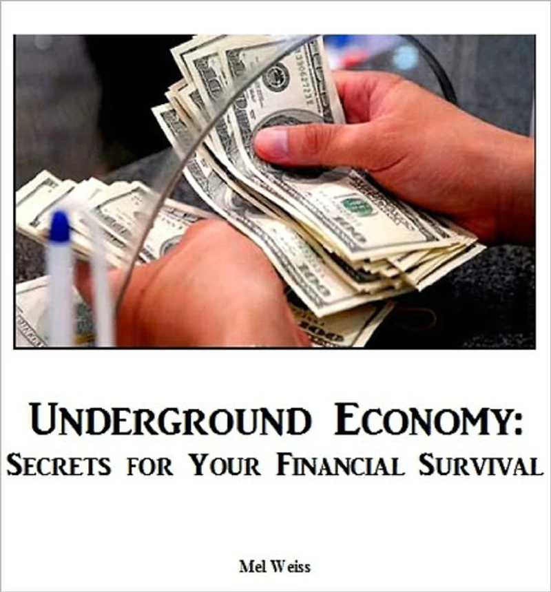 Underground Economy: Secrets for Your Financial Survival