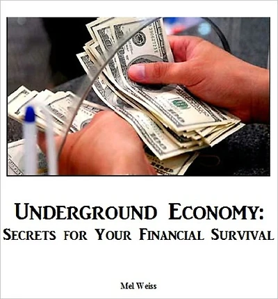 Underground Economy: Secrets for Your Financial Survival