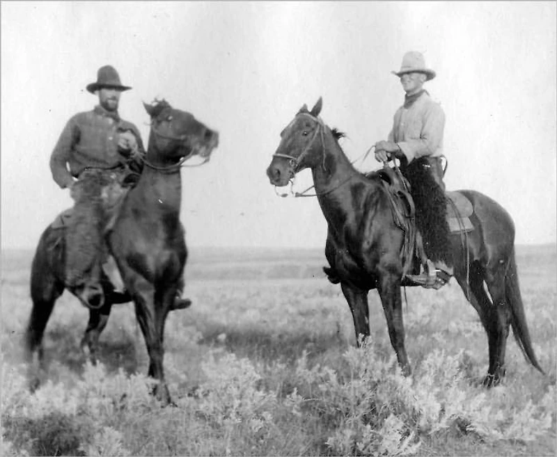 The Story Of The Cowboy