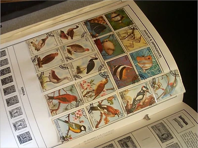 Beginners Guide to Stamp Collecting: All the Things You Must Know Before You Start Philately