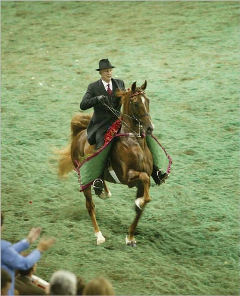 Five Gaits
