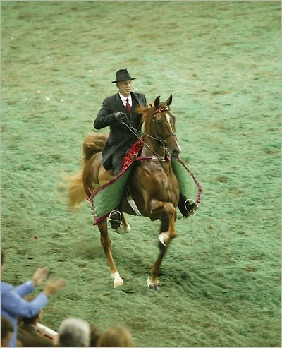 Five Gaits