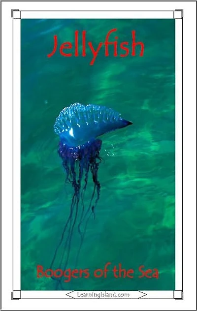 Jellyfish: Boogers of the Sea