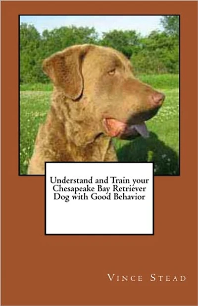 Understand and Train your Chesapeake Bay Retriever Dog with Good Behavior