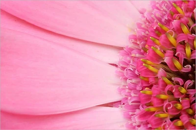 How to Fight Anxiety and Fear: Kick Them Out of Your System