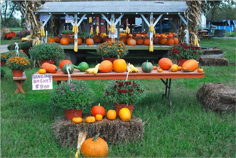 Ideas for Halloween Crafts for Kids