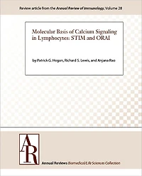 Molecular Basis of Calcium Signaling in Lymphocytes: STIM and ORAI